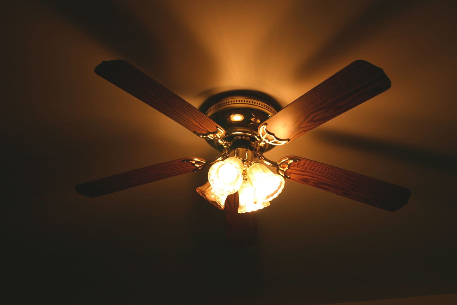A wooden blade ceiling fan with lights turned on