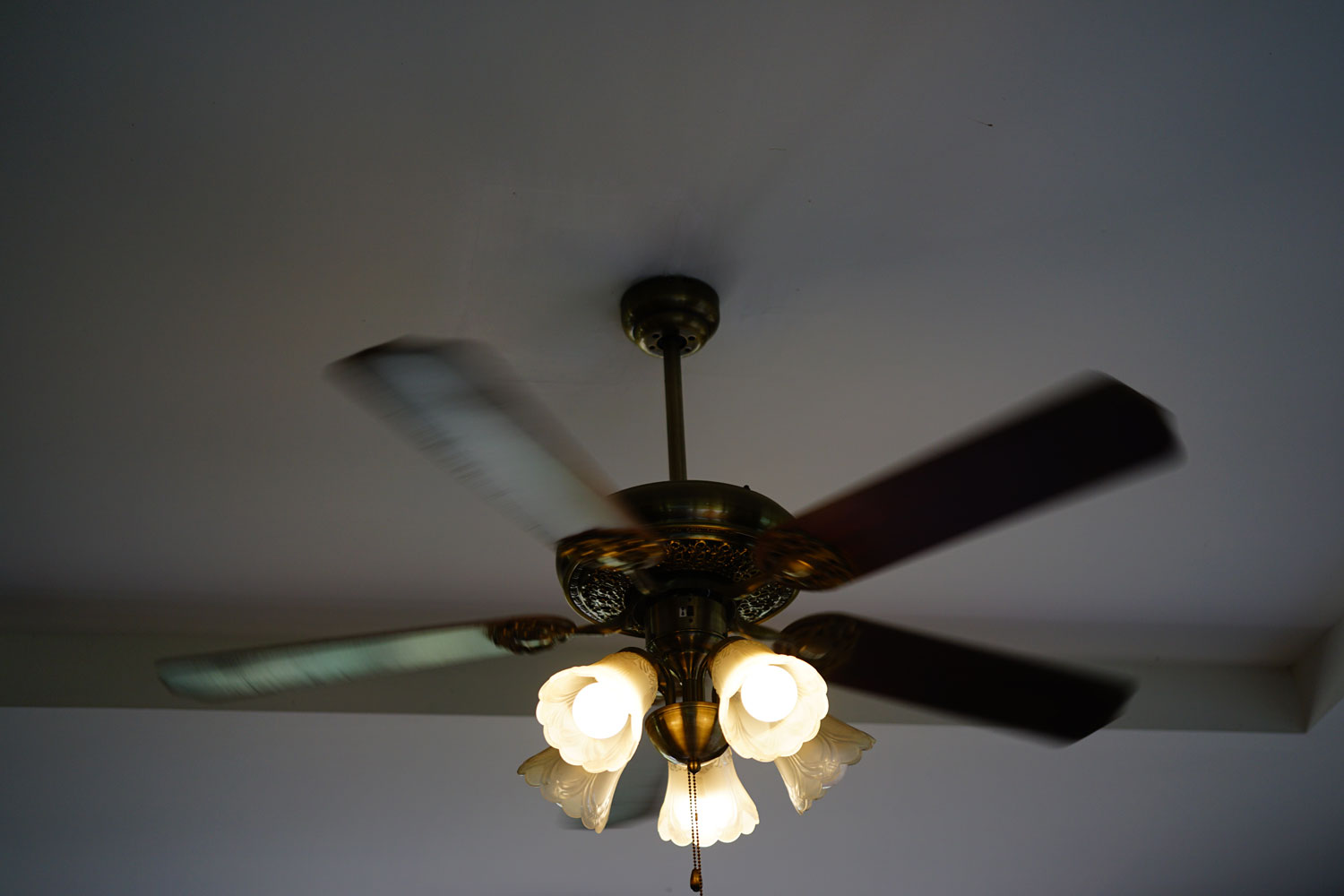 Ceiling fan lights turned on inside the living room
