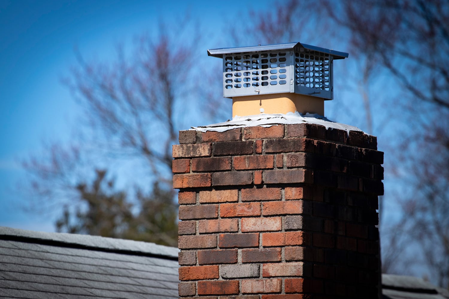 Chimney cap installed to prevent rodent entry to home attic building