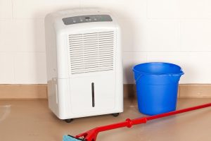 Read more about the article What To Set Dehumidifier At In Basement? (Summer And Winter)