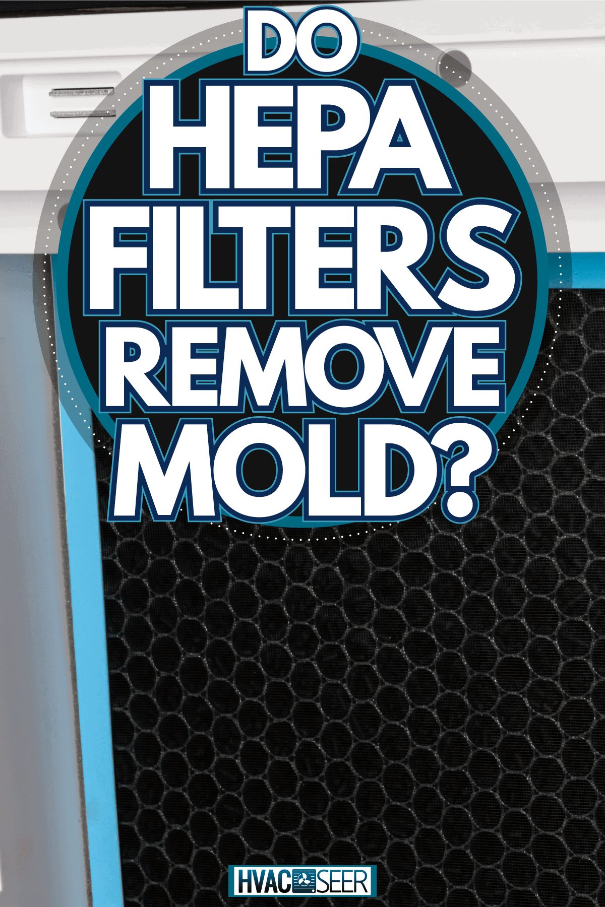 New HEPA filter replacement in the portable air conditioner, Do HEPA Filters Remove Mold?