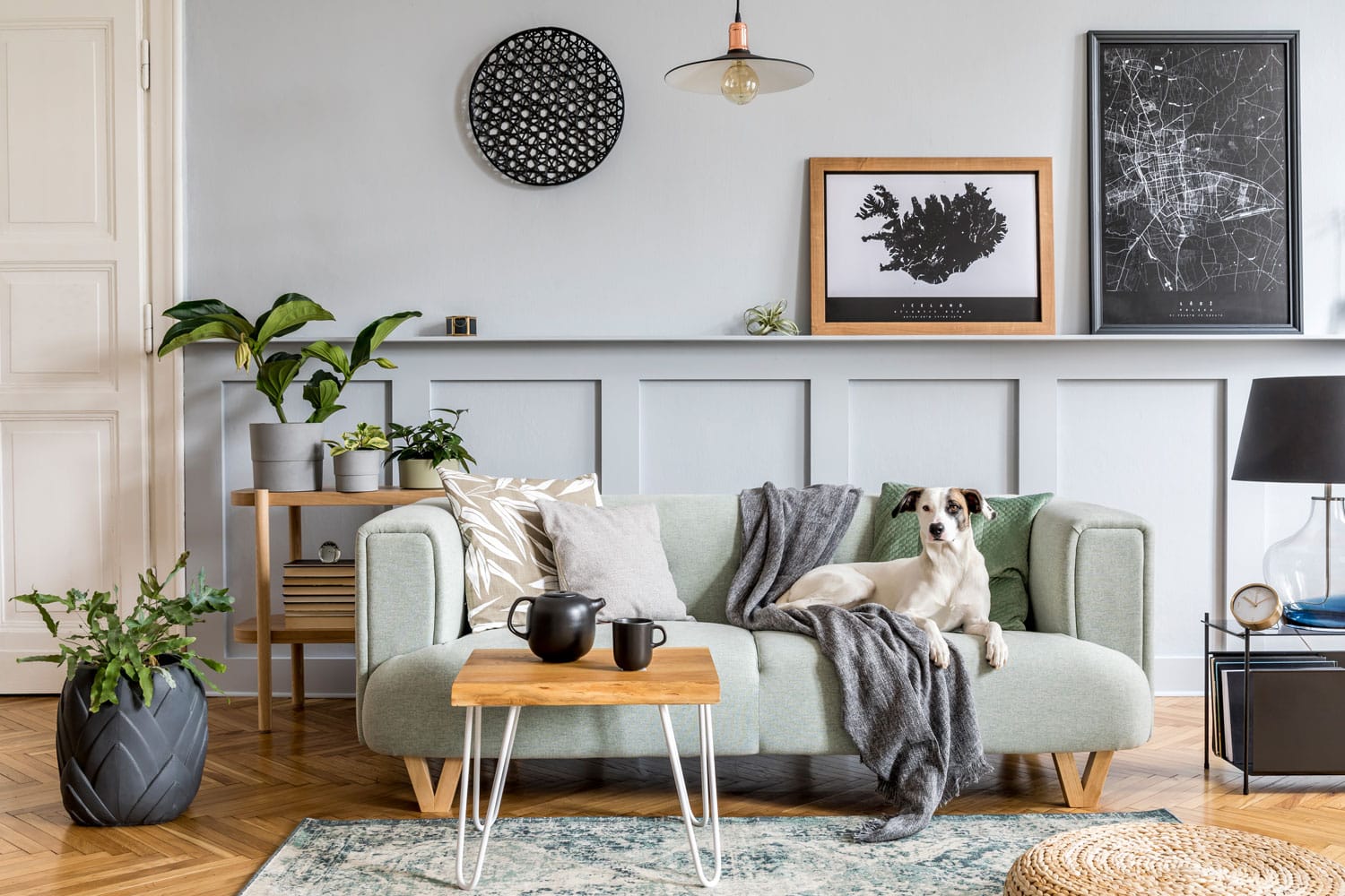 Dog sitting on the sofa inside a modern minimalist living room