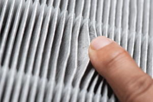 Read more about the article How Often To Change Honeywell HEPA Filter