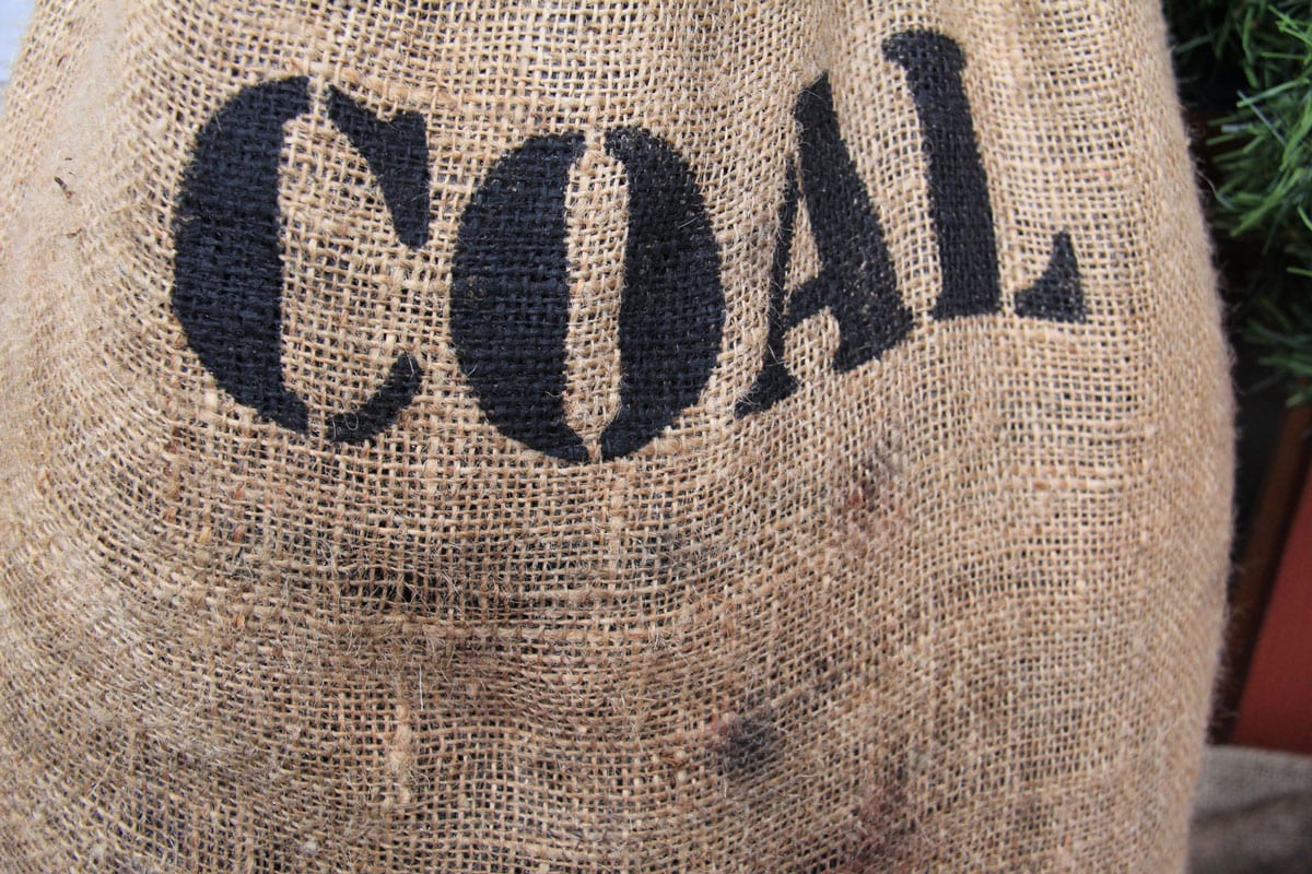 Perfect bags for storing coal inside