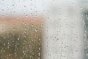 Read more about the article Does Rain Cause Humidity? [Indoors & Out]
