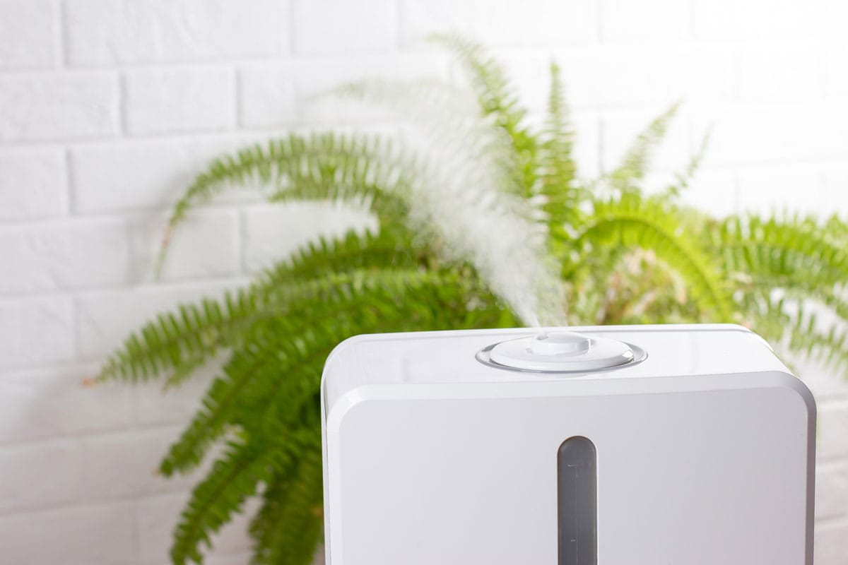 White air humidifier during work clean air and vaporizes steam up.