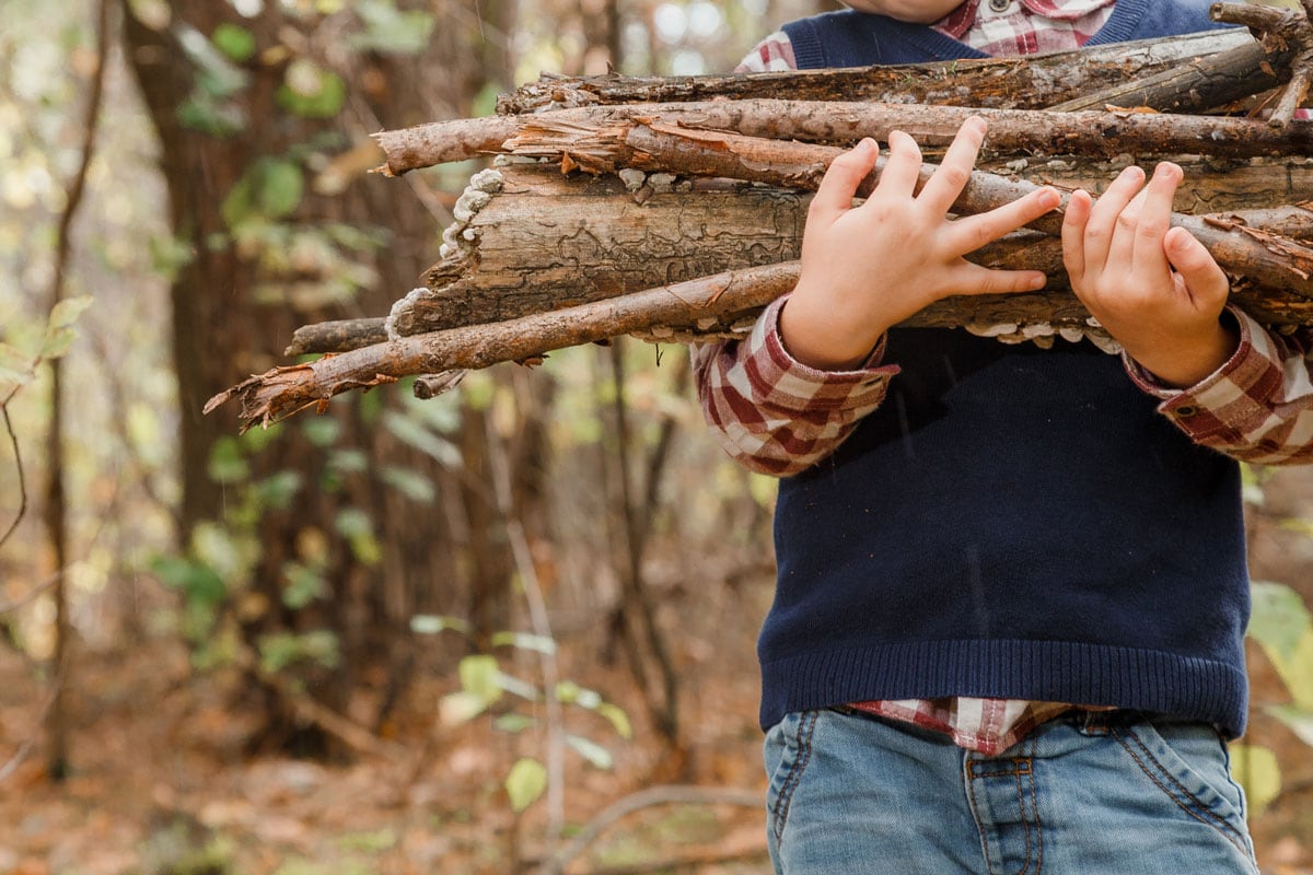 A child collects firewood in the forest