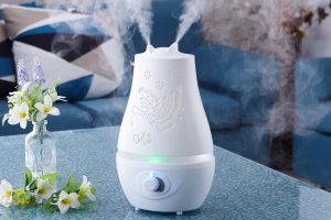 Read more about the article Where To Place A Humidifier For Your Plants?