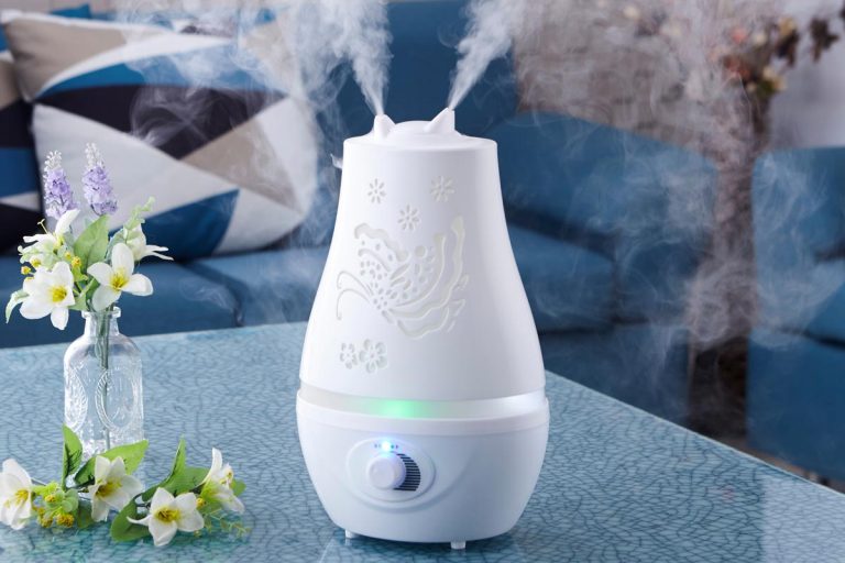 A humidifier on the table in the living room, Where To Place A Humidifier For Your Plants?