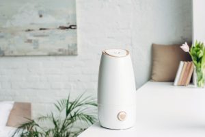 Read more about the article How Often Should I Use A Humidifier For My Plants?