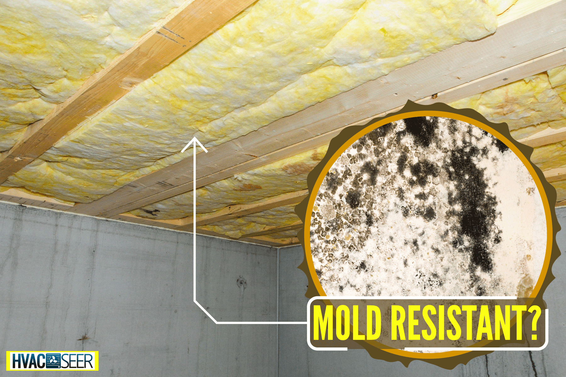 Fiberglass insulation installed on a basement roofing, Is Fiberglass Insulation Mold Resistant?