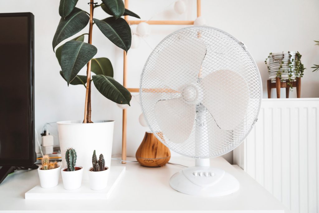 Living room decor, plants and a fan for hot summer days. Modern decor in a living room.