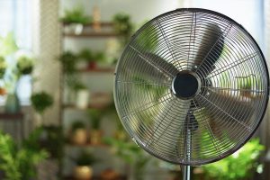 Read more about the article How To Make a Lasko Fan Stop Rotating