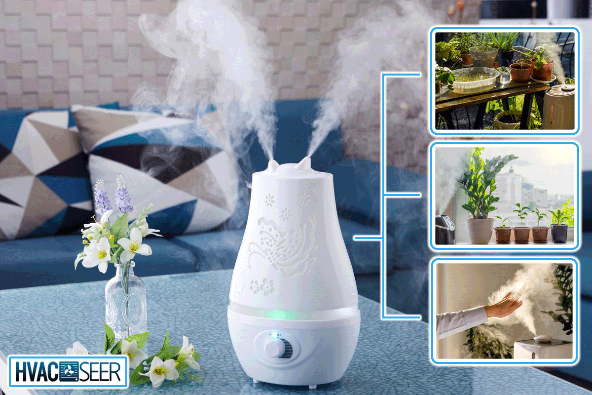 Humidifier on the table in the living room, Where To Place A Humidifier For Your Plants?