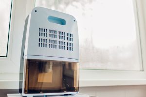 Read more about the article Dehumidifier Not Collecting Water – What To Do?