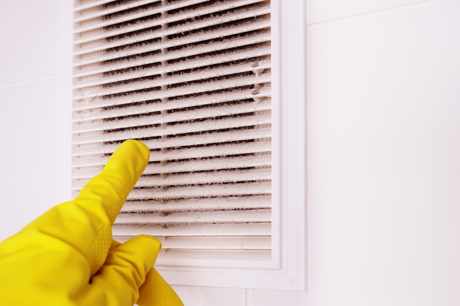 A layer of dust on the ventilation grill in the bathroom. To clean ventilation at home.