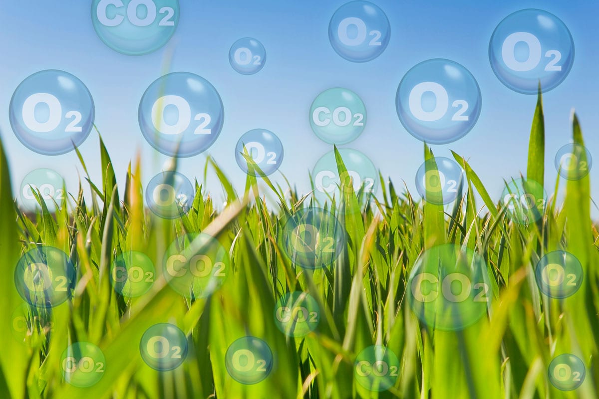 Carbon Neutrality concept against an agricultural nfield in springtime with oxygen O2 and carbon dioxide CO2 molecules