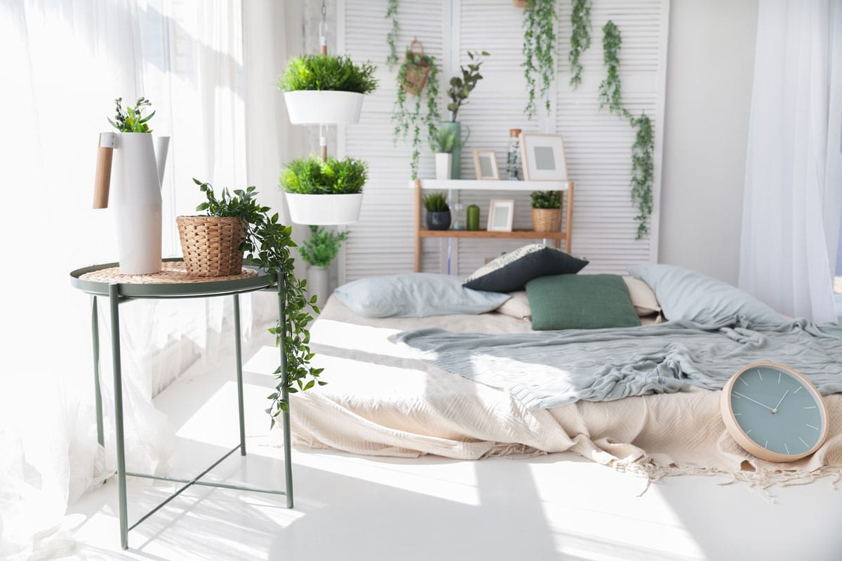 Light modern scandinavian bedroom interrior with bed, pillows, plaids, shelves, green plants in baskets