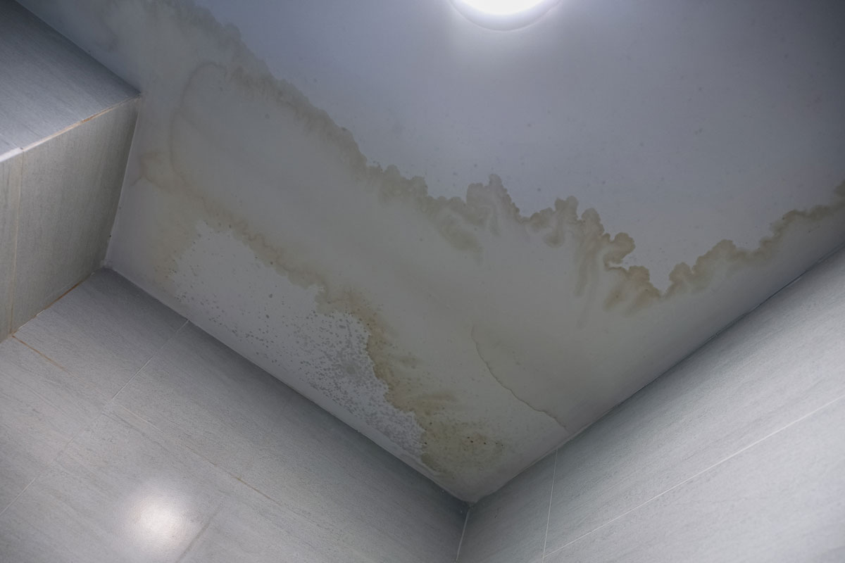 Water stains on the ceiling due to leak on the roof