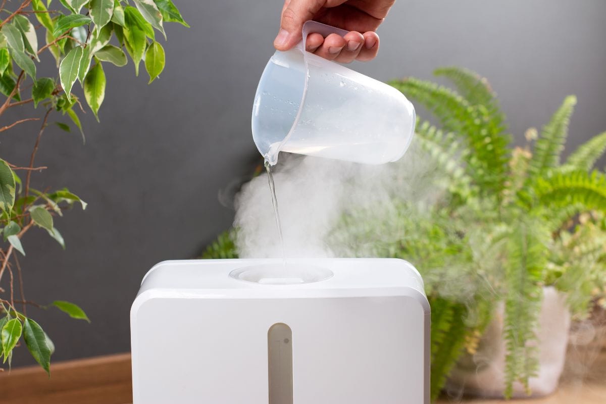 A man uses a humidifier at home. Filling the reservoir with water in the room