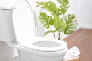 Read more about the article Toilet Soft Close Not Working — What To Do?