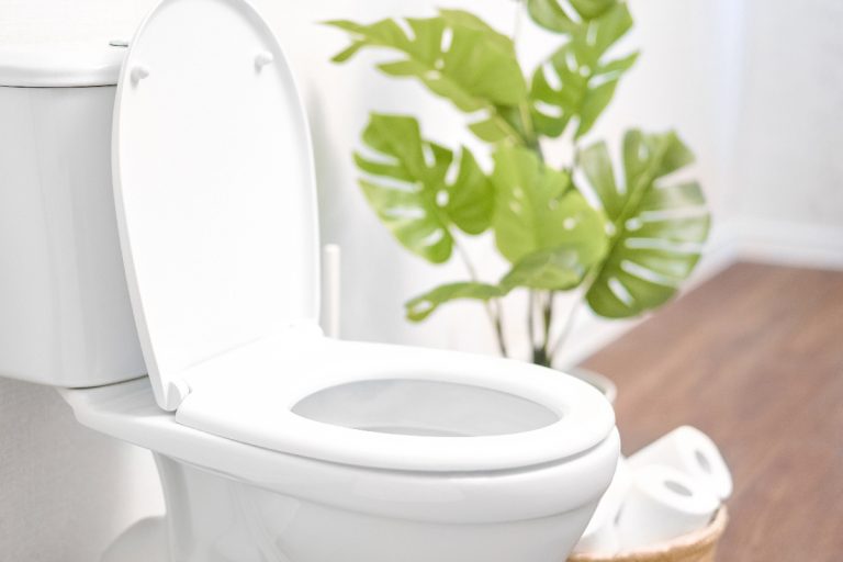 A ceramic toilet bowl with toilet paper near light wall, Toilet Soft Close Not Working — What To Do?