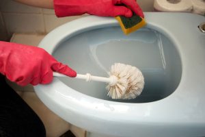 Read more about the article How To Unclog A Toilet With A Toilet Brush