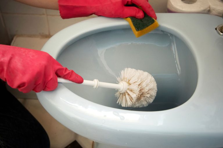 Cleaning bathroom with red gloves while holding a toilet brush, How To Unclog A Toilet With A Toilet Brush
