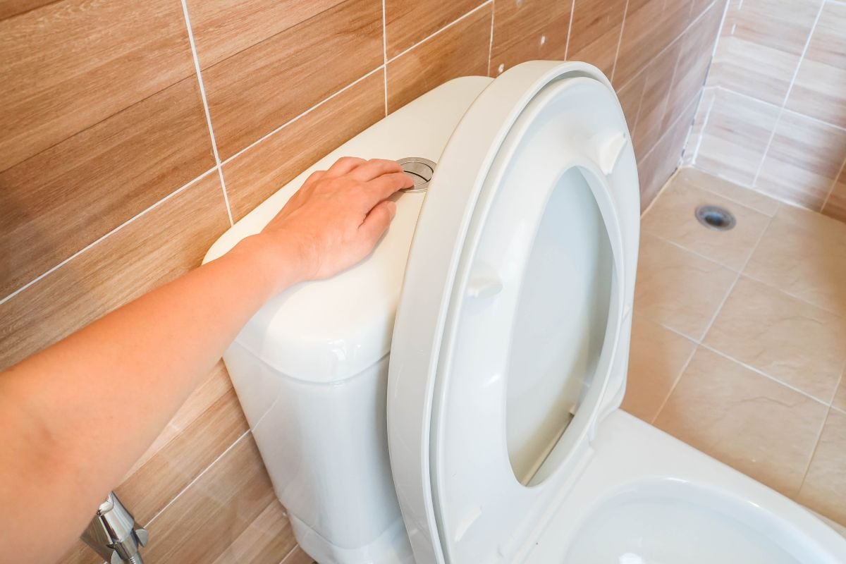 Close up woman flush the toilet bowl after use for hygiene