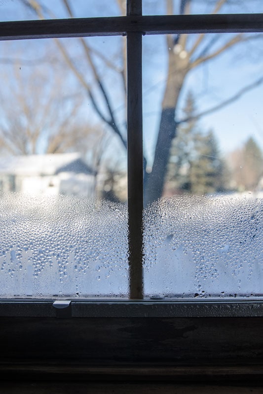 Condensation and frost on a window
