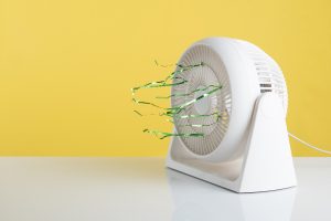 Read more about the article How To Open A Woozoo Fan