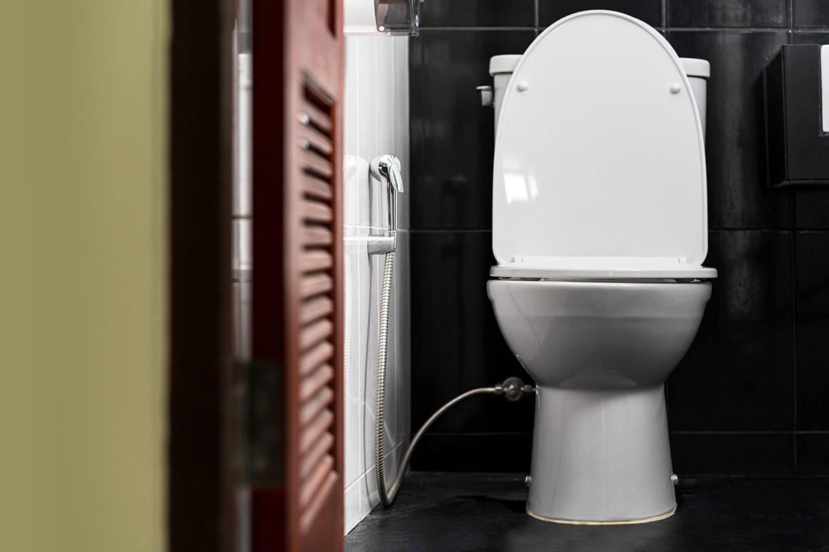 White toilet bowl in a bathroom of a private home
