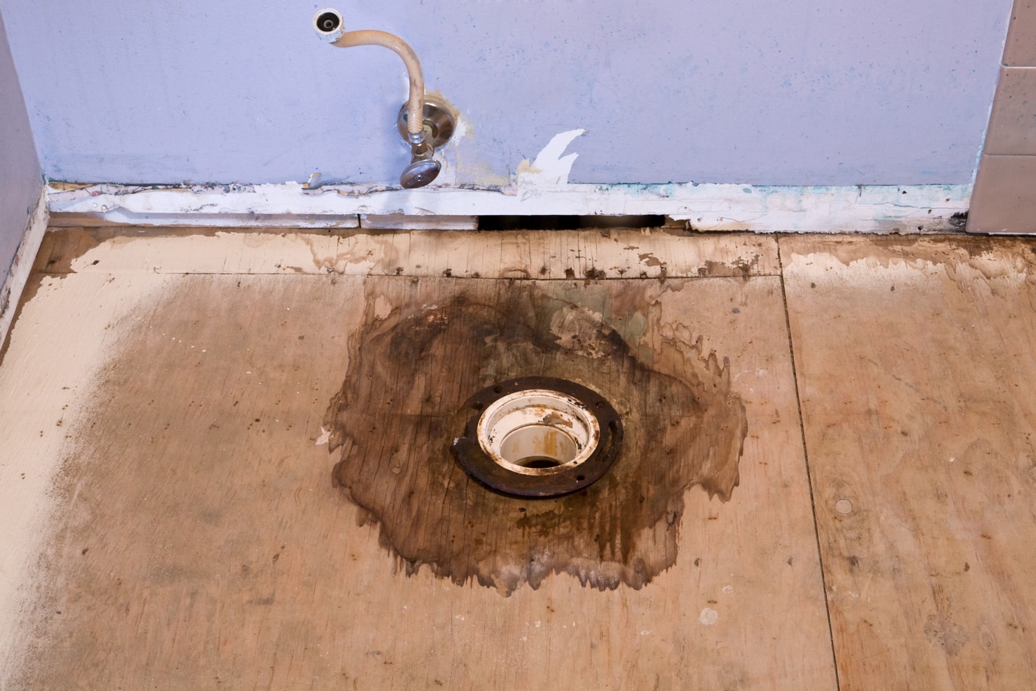 a water damaged floor around a rusted and damagd toilet flange