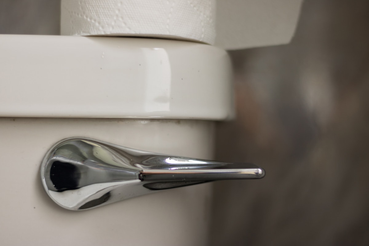  part of a toilet bowl with a handle and a roll of white toilet paper