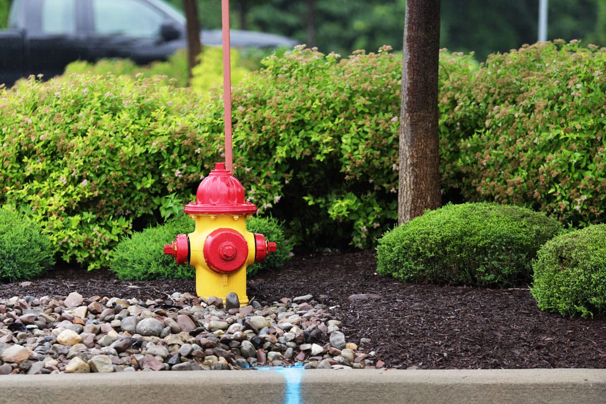 photo of a cute colored fire hydrant on the side of the road on the village