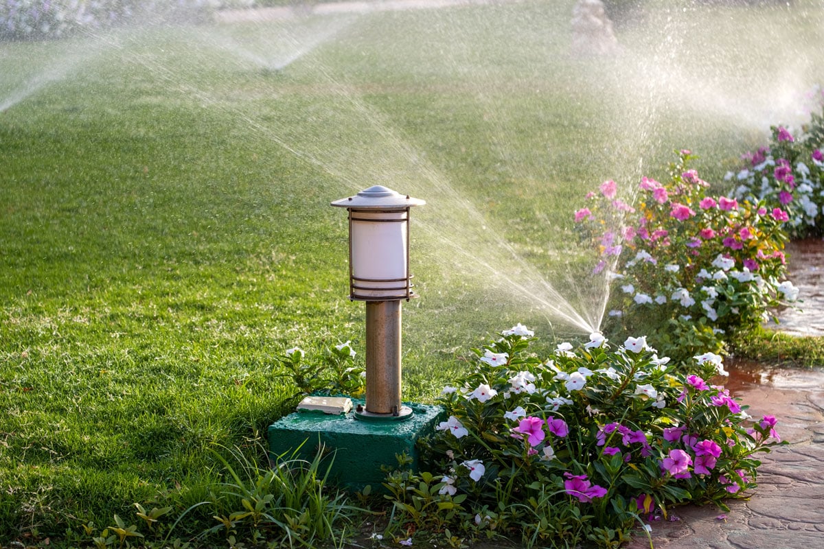 photo of a plastic sprinkler irrigating flower bed on the garden backyard