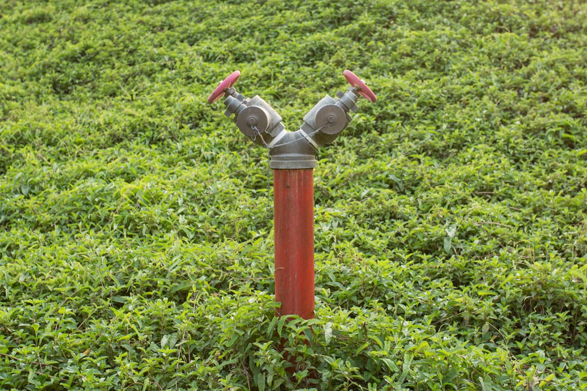 photo of a red fire hydrant on the grass water pipe sticking out of the grass