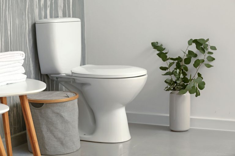 photo of a very clean neat toilet room modern type toilet minimalist design, What Are The Parts Of A Toilet Fill Valve?