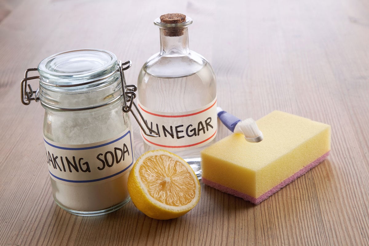 Baking soda lemon vinegar with brush on top of the sponge