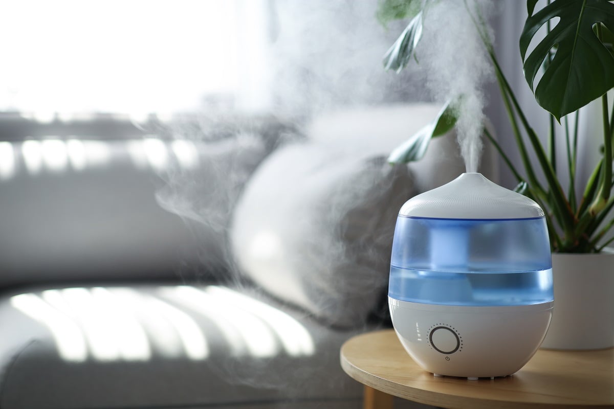 Benefits Of Ultrasonic Humidifier - Modern air humidifier and houseplant on table in living room. Space for text