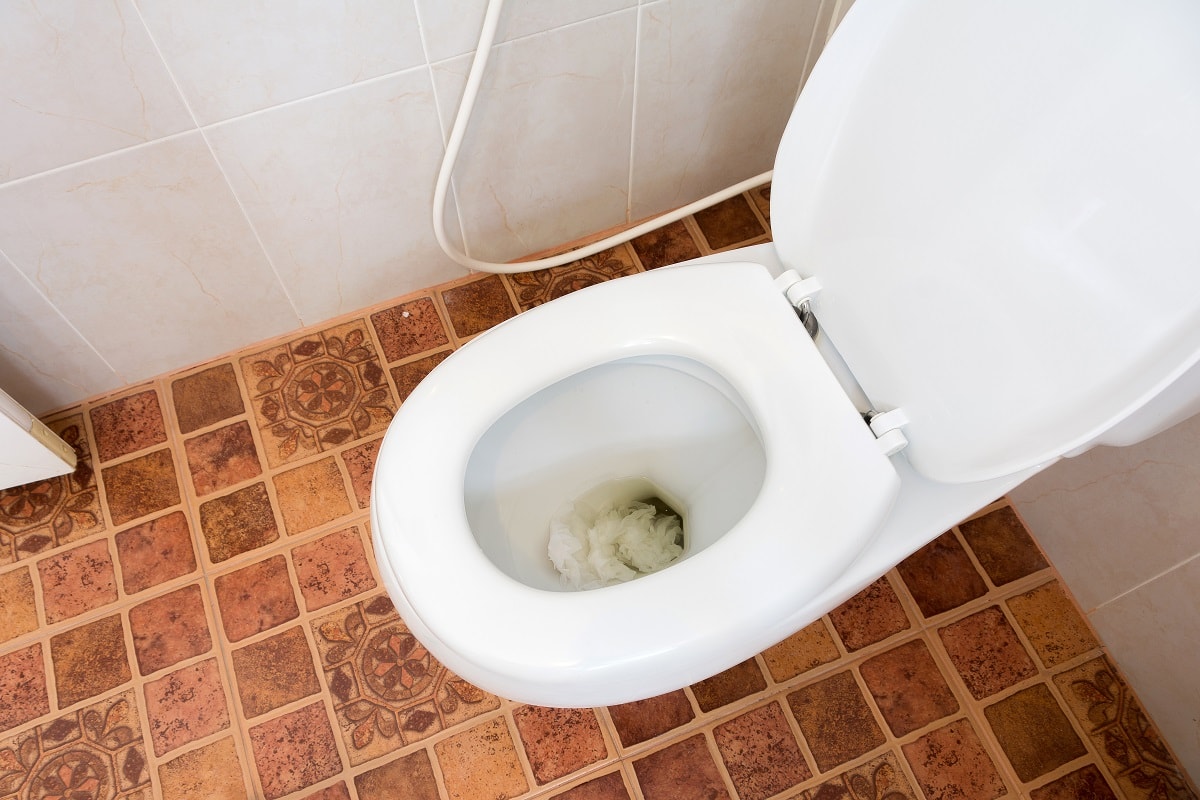 Clear the clog or call a plumber - toilet paper put in Flush.used paper clogging the toilet
