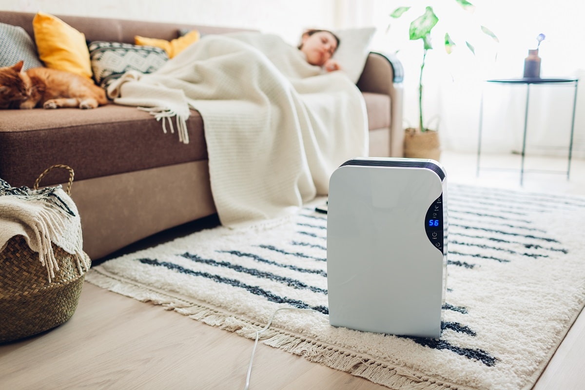 Dehumidifiers Can Help Prevent Odors - Dehumidifier with touch panel, humidity indicator, uv lamp, air ionizer, water container works at home while woman sleeping. Air dryer