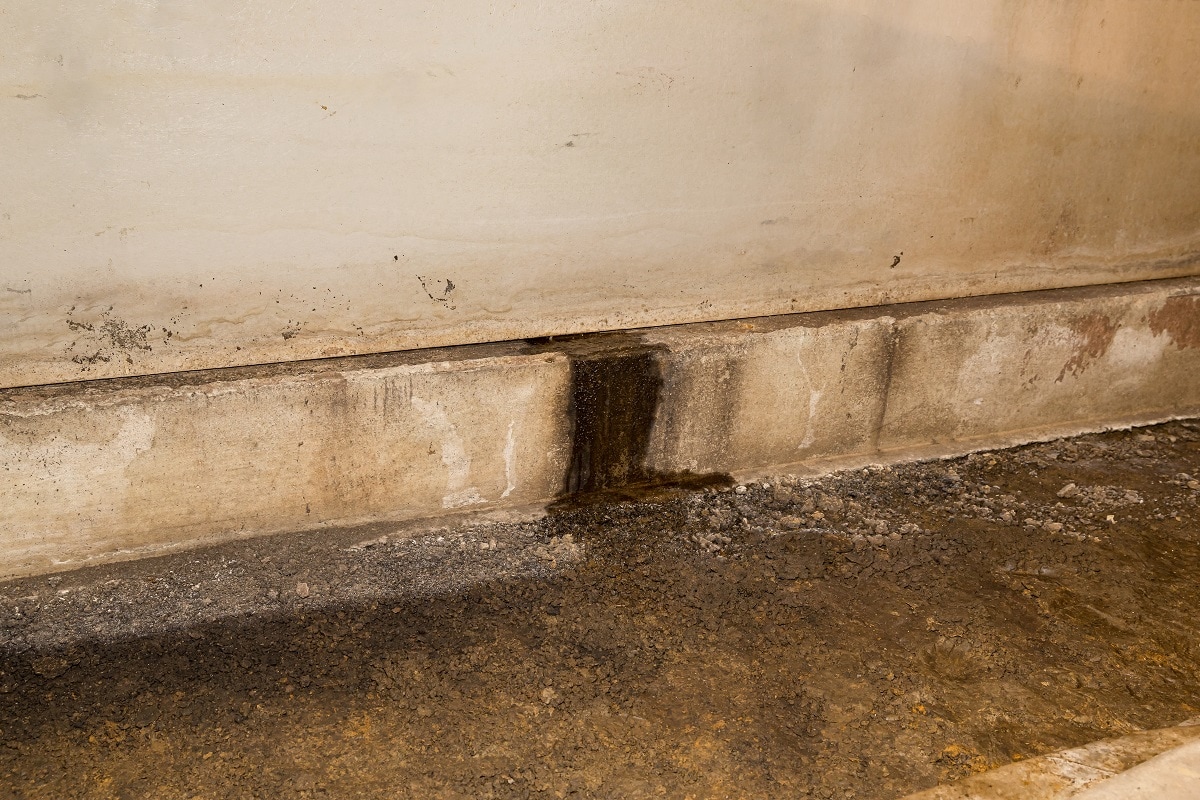 Foundation Cracks - Water leaking through foundation wall in crawlspace of house