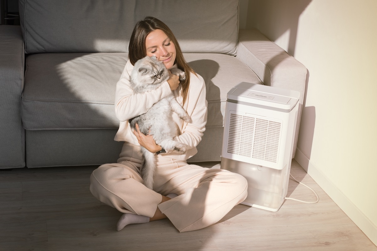 Dehumidifiers Can Help You Breathe Easier - Happy woman holding cat and relaxing at home. Breathing fresh air. Air dehumidifier,