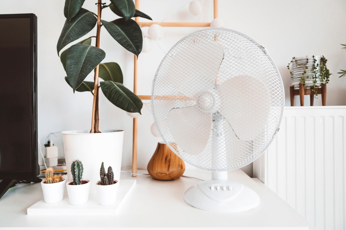 Living room decor, plants and a fan for hot summer days. Modern decor in a living room