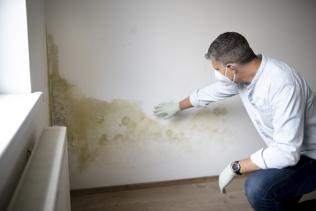 Prepare The Working Area - Man with mouth nose mask and blue shirt and gloves n front of white wall with mold