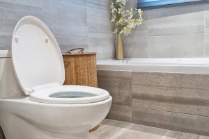 Read more about the article Toilet Ticking Sound – What Could Be Wrong?