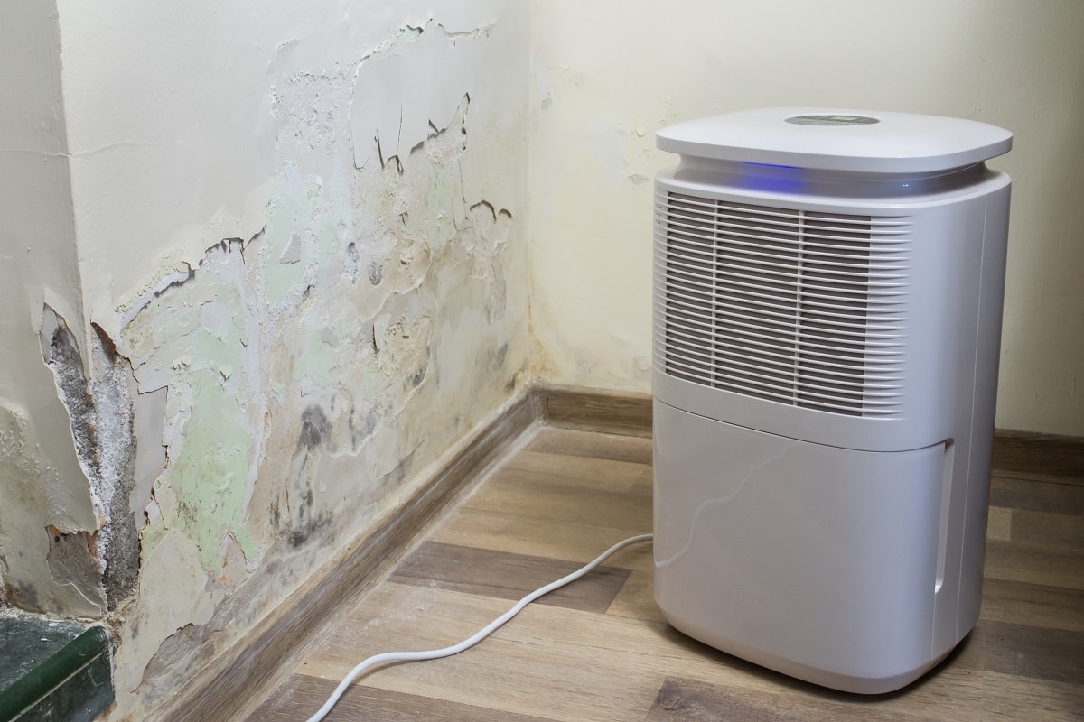 Dehumidifier Can Help Fight Pests - Purifier next to a damaged wall from severe mold and toxic fungus growth. Dehumidifier for water infiltration, moisture, damp and high humidity
