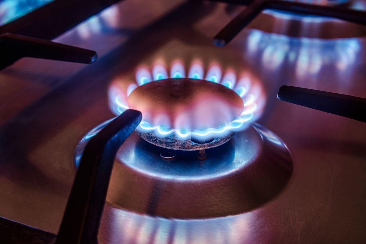 The gas burns in the burner of a kitchen stove