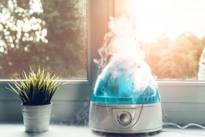Read more about the article Is Pink Mold In Humidifier Dangerous [Inc. How To Eliminate It and Prevent It]?
